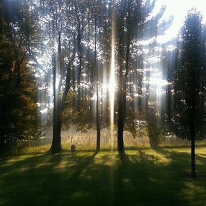 Meet your Posher, Pattie